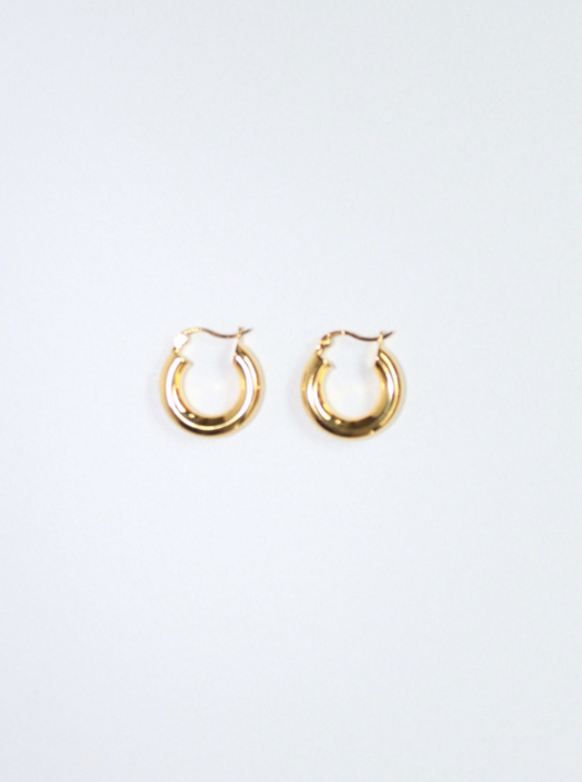 NO. 19 Dicianove Earrings