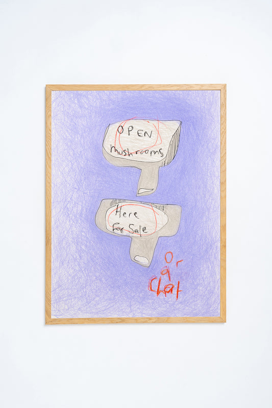 'Open Mushrooms. Here for sale. Or a chat' Original Artwork