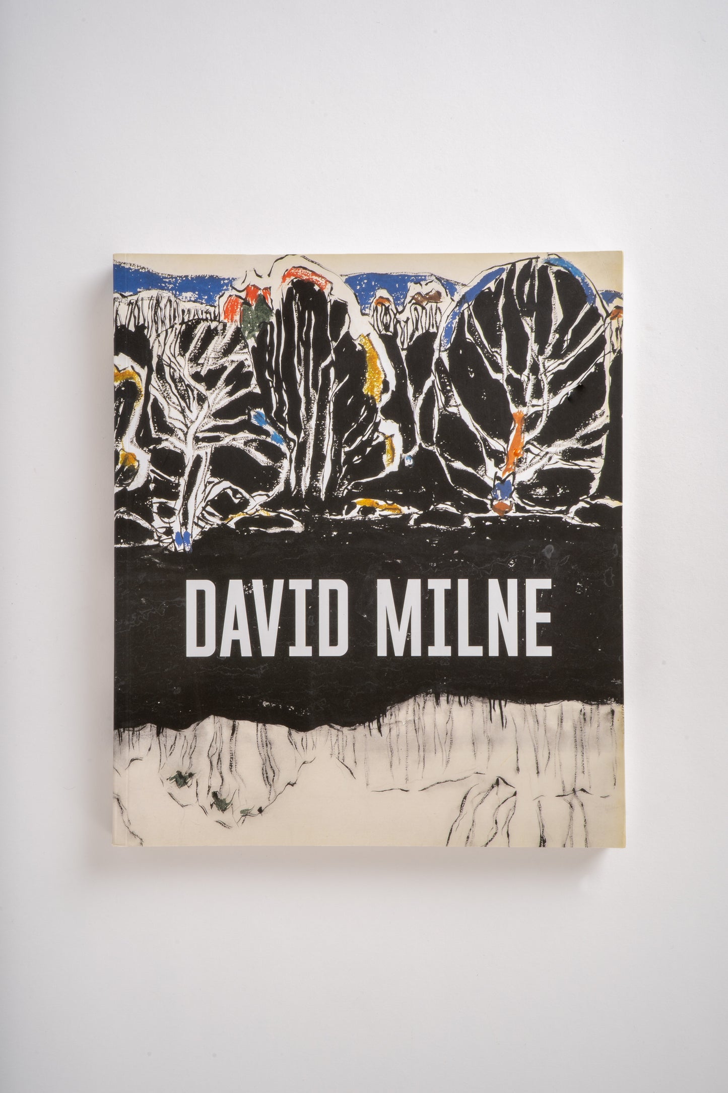 Oxfam Bookshop ' David Milne'