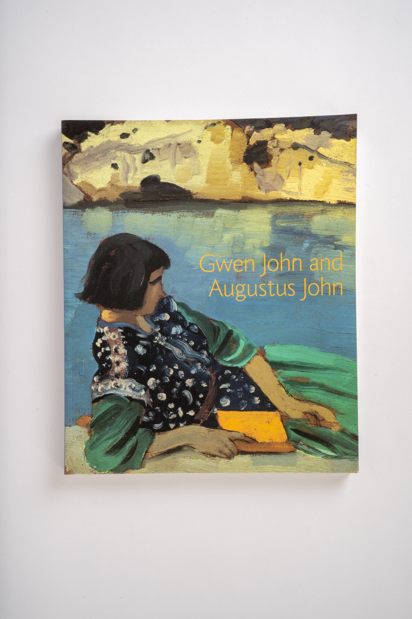 Oxfam Bookshop 'Gwen John and Augustus John'
