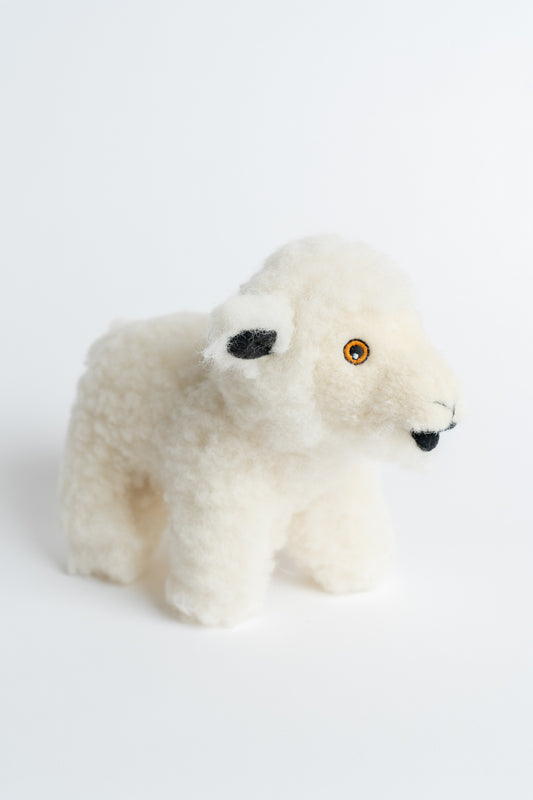 Wool Sheep Natural