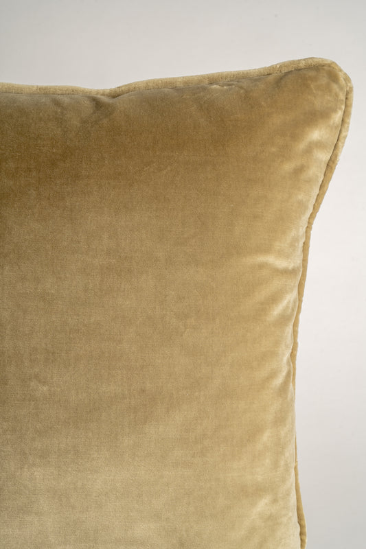 Planted. Daisy Cushion