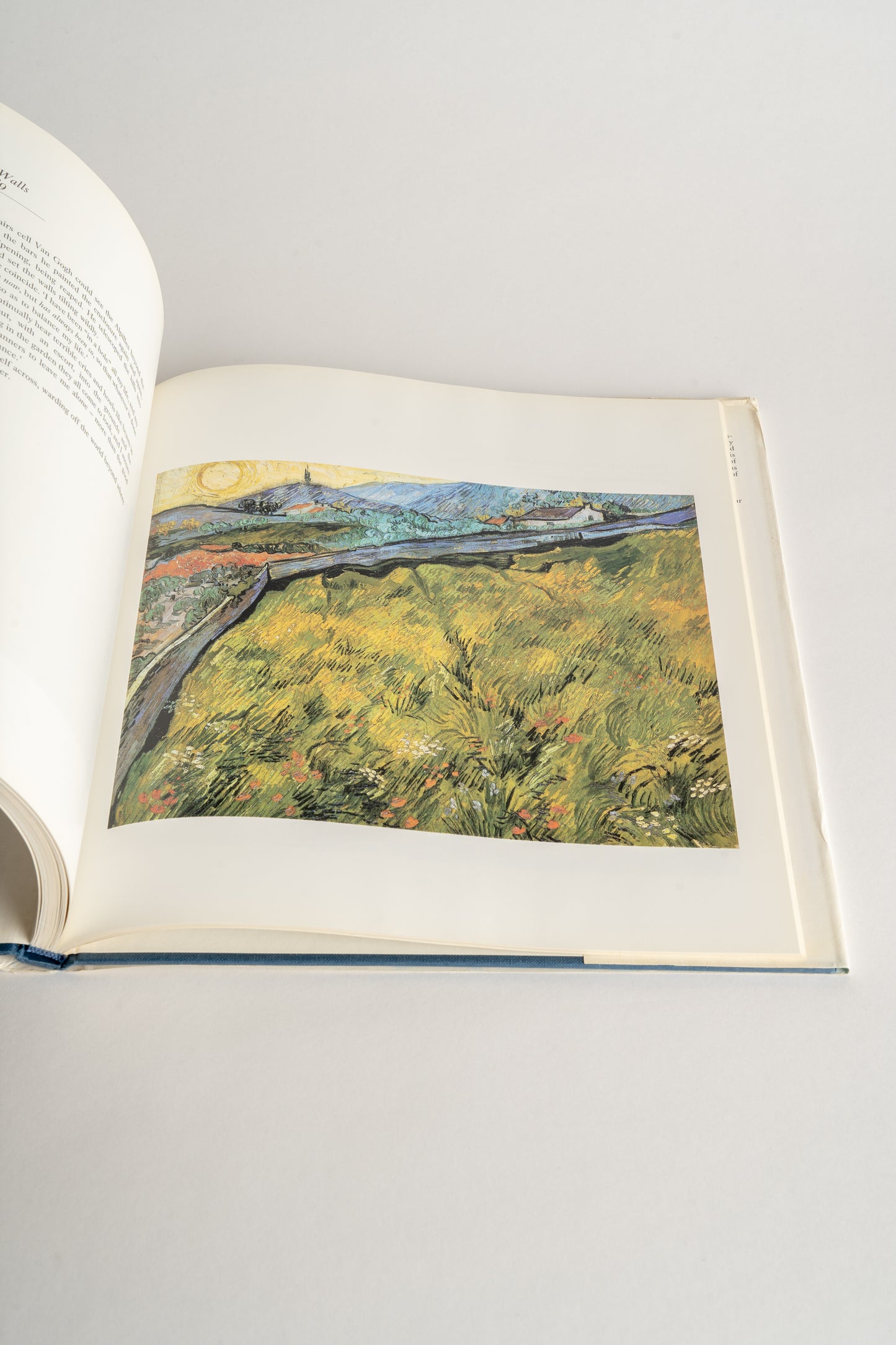 Oxfam Bookshop 'Van Gogh: The Masterworks'