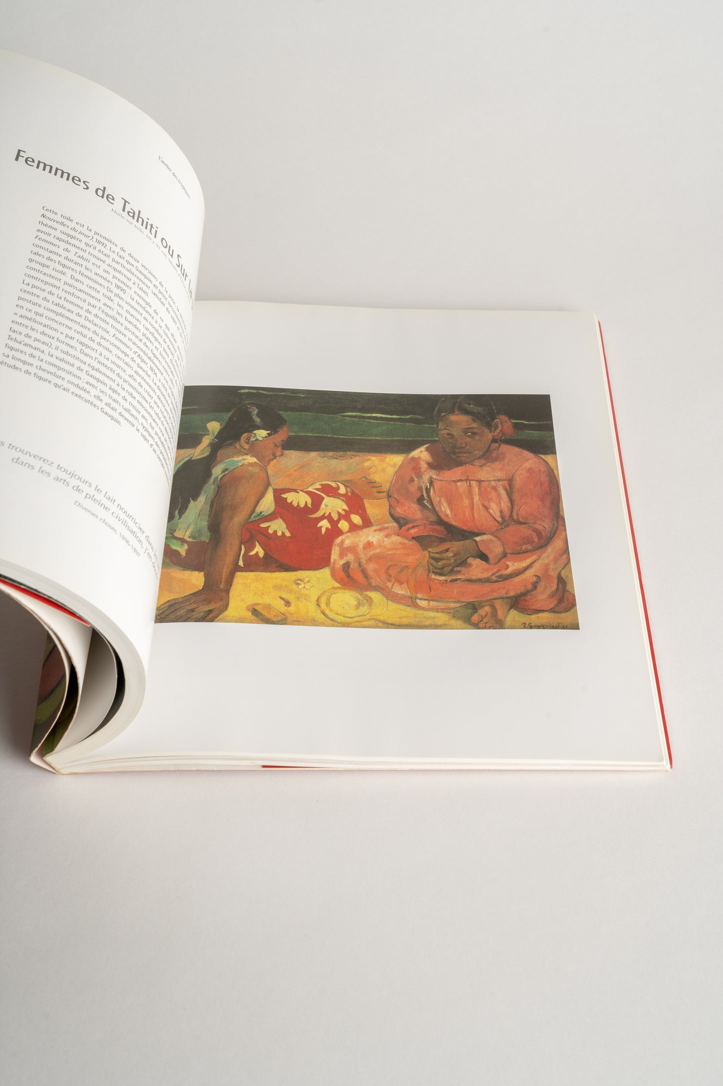 Oxfam Bookshop 'Gauguin'