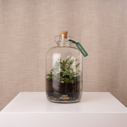 London Terrariums Demijohn