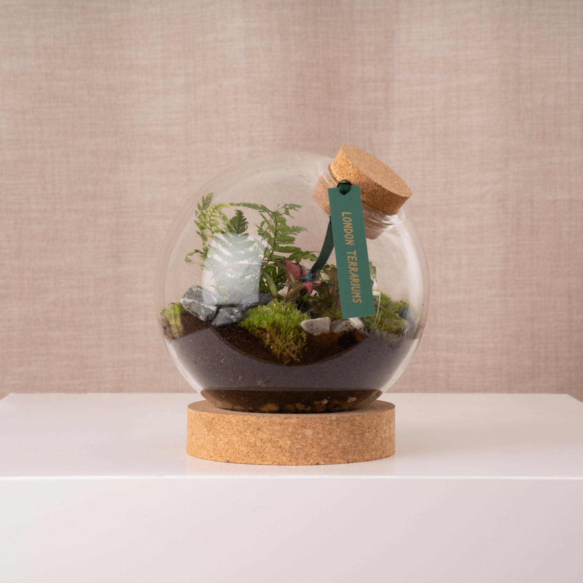 London Terrariums Medium Globe Terrarium MIMMO Studios