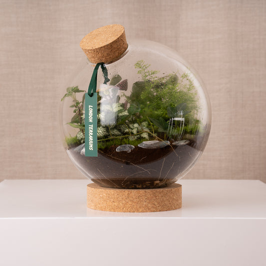 London Terrariums Large Globe