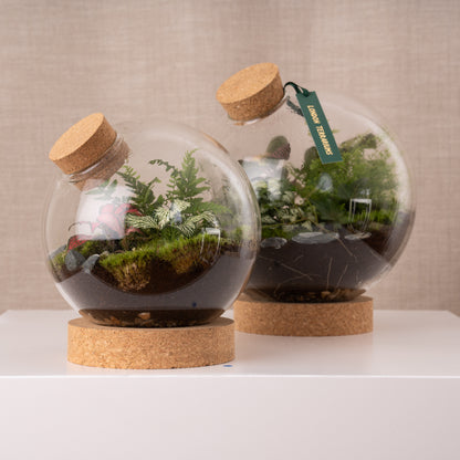 London Terrariums Medium Globe